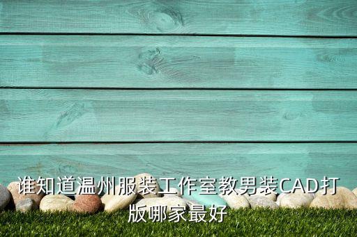 陳建云，誰知道溫州服裝工作室教男裝CAD打版哪家最好