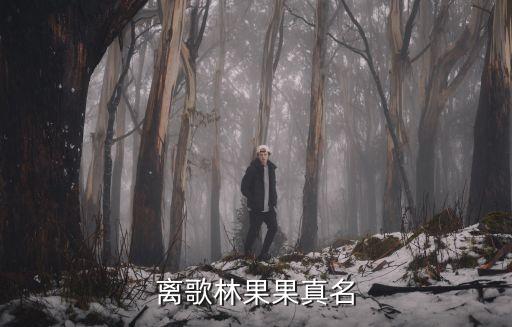 離歌林果果真名