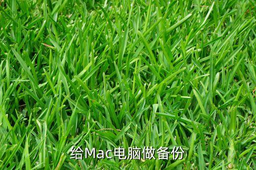mac如何數(shù)據(jù)備份,如何備份數(shù)據(jù)?