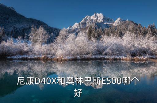 尼康D40X和奧林巴斯E500哪個(gè)好