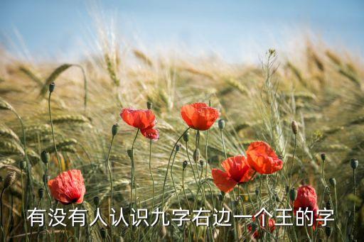 有沒有人認(rèn)識九字右邊一個王的字