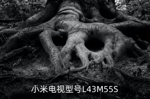 小米電視5，海信電視HZ65E7D對比小米電視5Pro65寸那個(gè)性價(jià)比高配置誰更