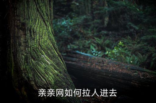 親親網，親親小說網如何找