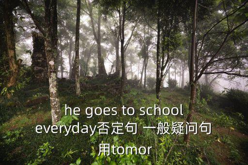 tomor，he goes to schooleveryday否定句 一般疑問句 用tomor