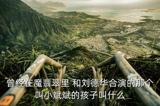 小斌斌，曾經(jīng)在魔翡翠里 和劉德華合演的那個(gè)叫小斌斌的孩子叫什么