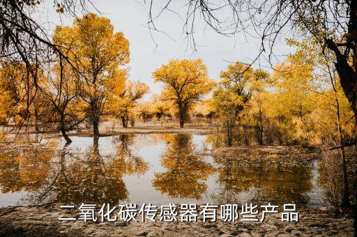 二氧化碳傳感器有哪些產(chǎn)品