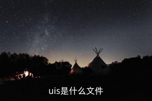 uis是什么文件