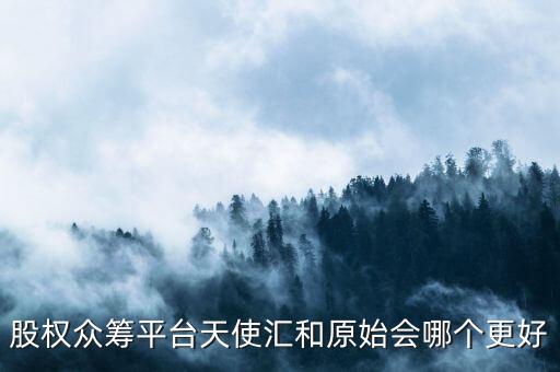 股權(quán)眾籌平臺(tái)天使匯和原始會(huì)哪個(gè)更好