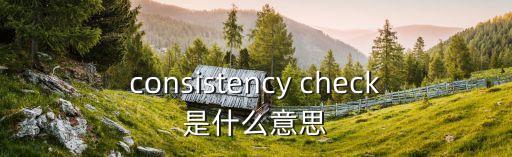 consistency check是什么意思