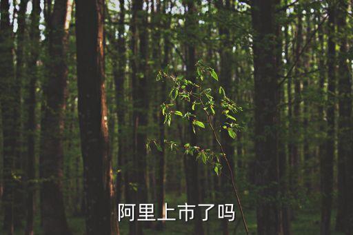 阿里上市了嗎