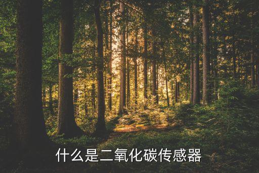 CO2傳感器，二氧化碳傳感器有哪些產(chǎn)品