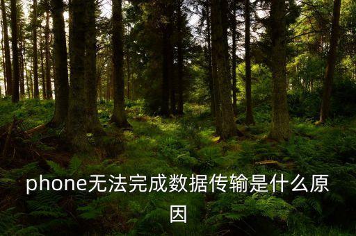 phone無(wú)法完成數(shù)據(jù)傳輸是什么原因