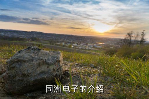 同洲電子的介紹