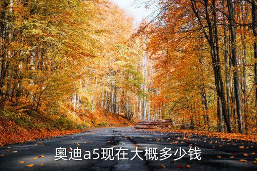 新款?yuàn)W迪a5，奧迪新款車型A5屬于跑車系嗎