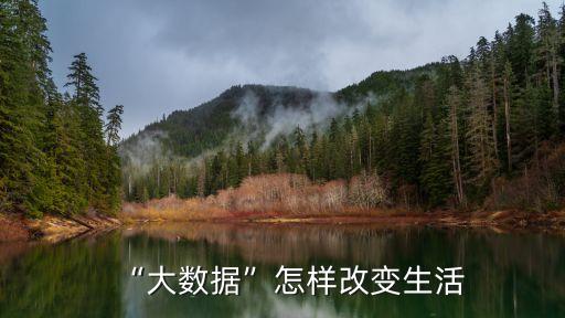 個體大數(shù)據(jù),教育大數(shù)據(jù)分六種來源和范圍