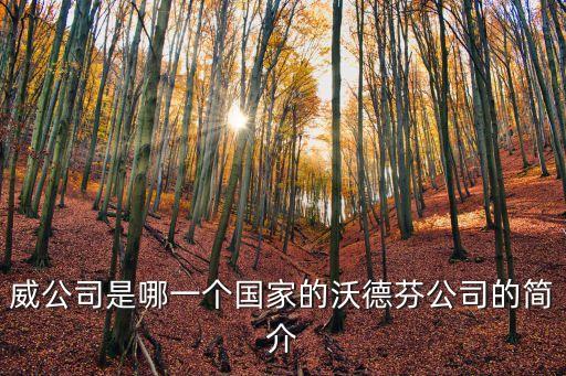 威公司是哪一個(gè)國家的沃德芬公司的簡介