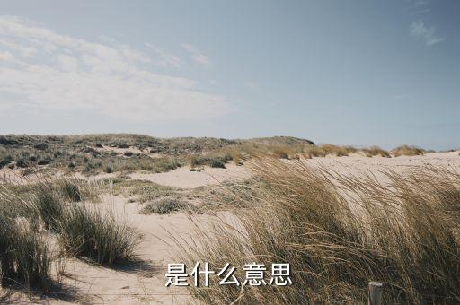 ap是什么,什么是AP,什么是路由器?