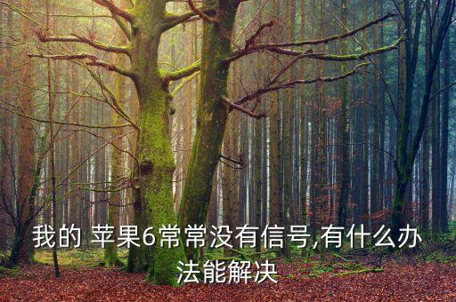 蘋果6健康沒有數(shù)據(jù)源,蘋果健康數(shù)據(jù)源優(yōu)先次序如何調(diào)整