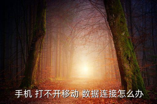 手機(jī)數(shù)據(jù)為啥打不開,為啥手機(jī)的數(shù)據(jù)流量不能用