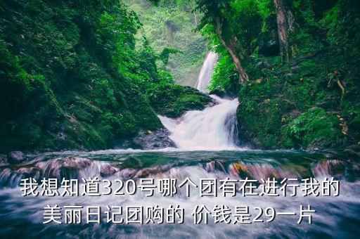 我想知道320號哪個團有在進行我的美麗日記團購的 價錢是29一片