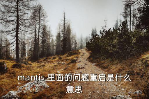 特斯拉重啟，怎樣重啟shadowsocls服務(wù)