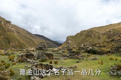 曹金山，曹金山是那個兒兒