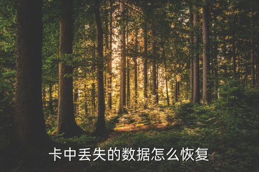 sd卡的數(shù)據(jù)怎么恢復(fù),相機(jī)sd卡恢復(fù)數(shù)據(jù)