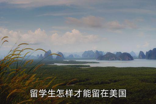 留學(xué)生怎樣才能留在美國(guó)