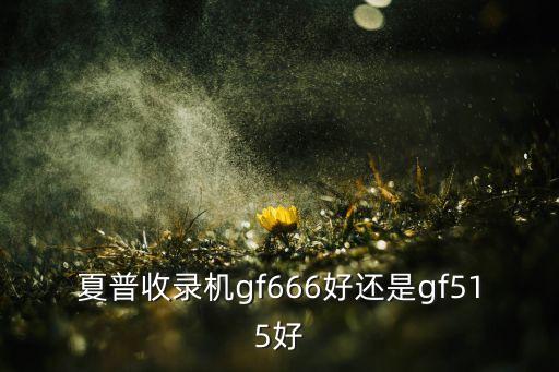 夏普收錄機(jī)gf666好還是gf515好
