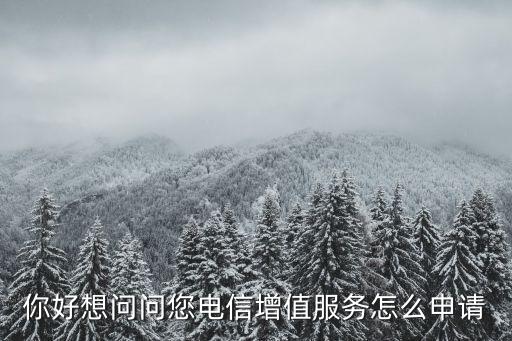 你好想問問您電信增值服務怎么申請