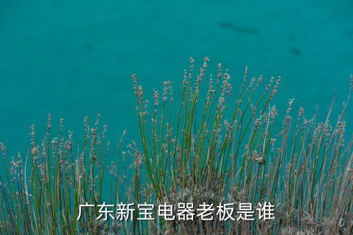 廣東新寶電器老板是誰(shuí)