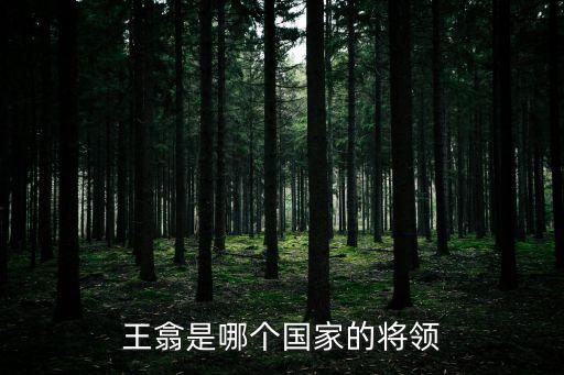 王翕是哪個國家的將領(lǐng)