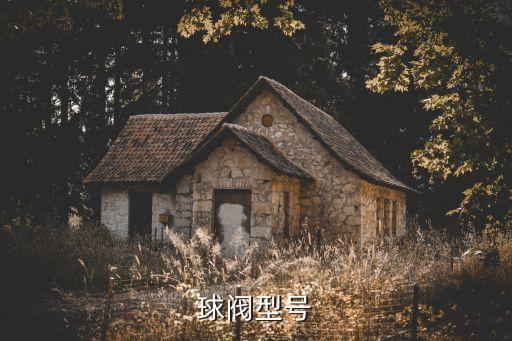 球閥型號