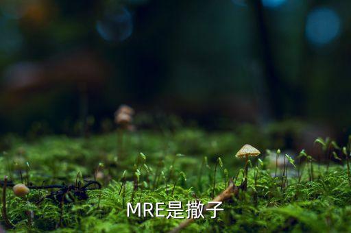 MRE是撒子