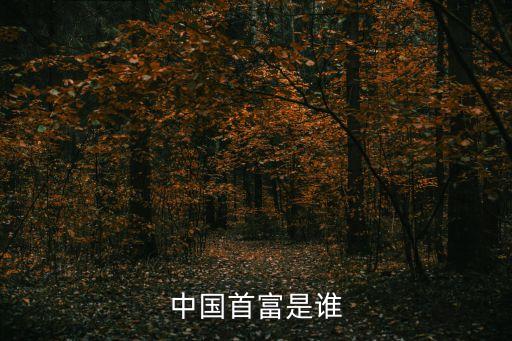 中國(guó)首富是誰