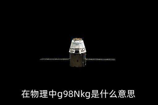 g1949，在物理中g98Nkg是什么意思