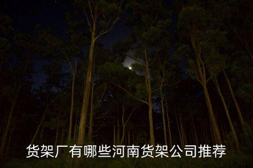 南宮市自動(dòng)化倉(cāng)庫(kù)貨架公司,收納貨架十大品牌