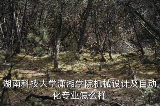 湖南科技大學(xué)瀟湘學(xué)院機(jī)械設(shè)計(jì)及自動(dòng)化專業(yè)怎么樣