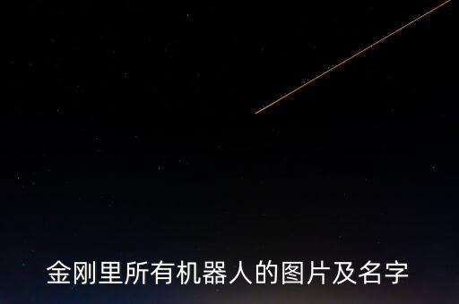 心臟機(jī)器人圖片大全圖片大全圖片,人心的圖片
