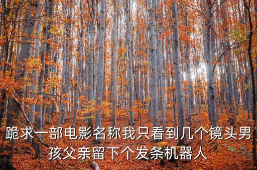 跪求一部電影名稱我只看到幾個(gè)鏡頭男孩父親留下個(gè)發(fā)條機(jī)器人