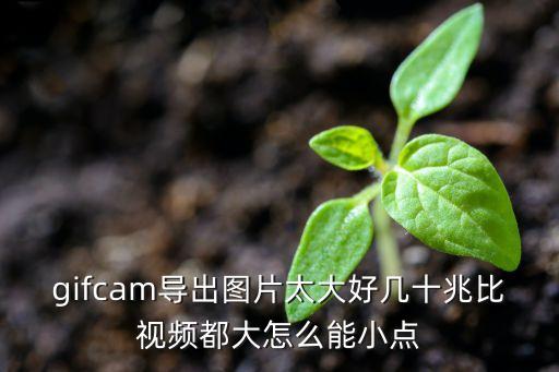 gifcam，gifcam導(dǎo)出圖片太大好幾十兆比視頻都大怎么能小點