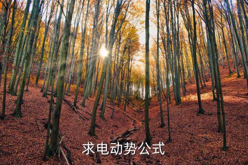 求電動(dòng)勢(shì)公式