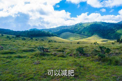 大數據分析減肥方法,五種數據分析方法