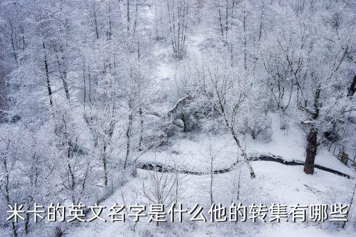 米卡的英文名字是什么他的轉(zhuǎn)集有哪些
