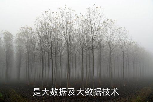 大數(shù)據(jù)時代 當(dāng)當(dāng),關(guān)于大數(shù)據(jù)時代