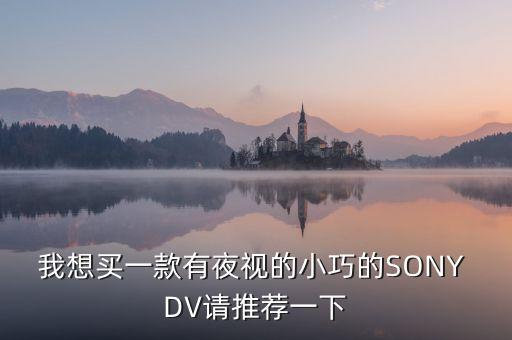 我想買一款有夜視的小巧的SONY DV請(qǐng)推薦一下