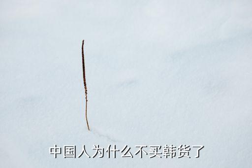韓貨，ph23是歐貨還是韓貨