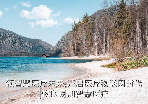 領(lǐng)智慧醫(yī)療未來,開啟醫(yī)療物聯(lián)網(wǎng)時代]物聯(lián)網(wǎng)加智慧醫(yī)療