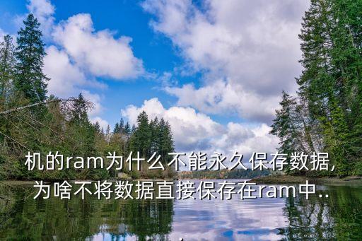 數(shù)據(jù)存放在ram,計(jì)算機(jī)程序運(yùn)行在