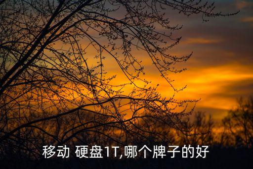 移動(dòng)硬盤1t西部數(shù)據(jù)md,西部數(shù)據(jù)移動(dòng)硬盤無(wú)法讀取怎么修復(fù)